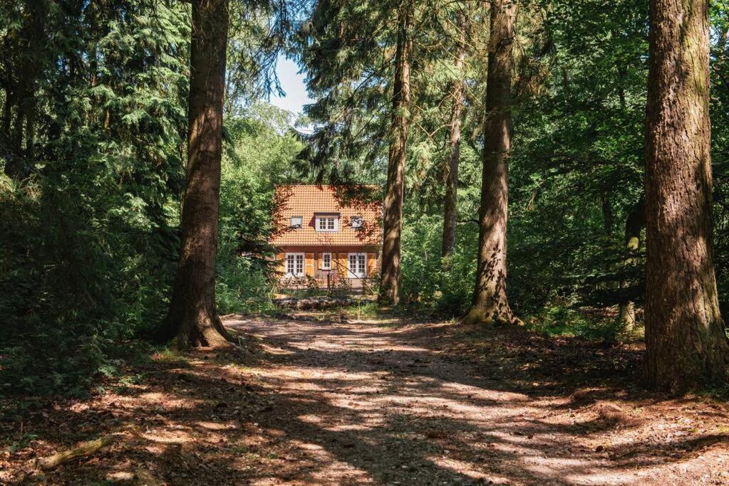 Fantastisch Familiehuis Met Grote Tuin I Bosrijk Люнтерен Экстерьер фото